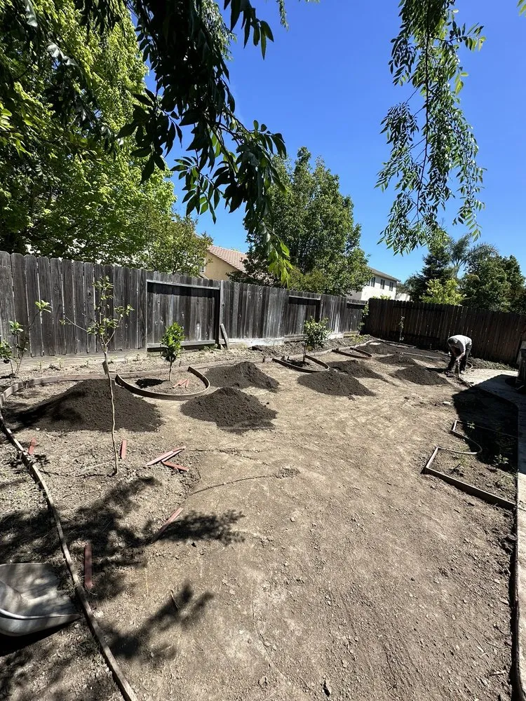 Reliable landscape installation for beautiful yards in Carmichael, CA by IP Landscape
