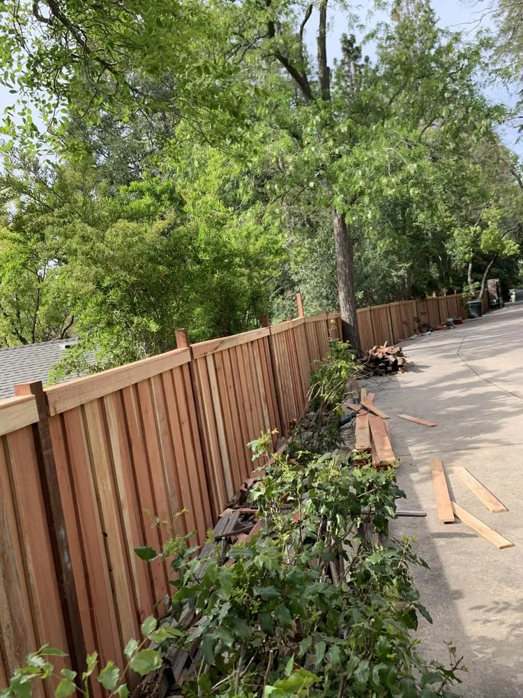 Professional yard cleanup service experts serving Carmichael, CA - IP Landscape