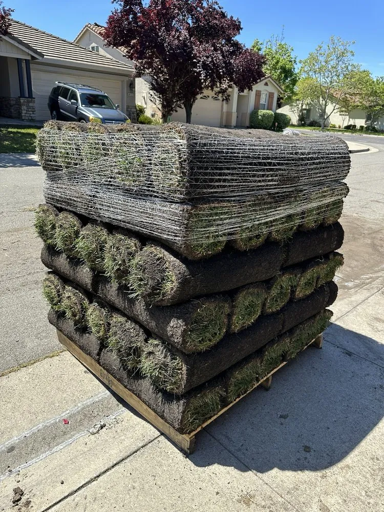 Affordable residential landscaping experts serving Carmichael, CA - IP Landscape