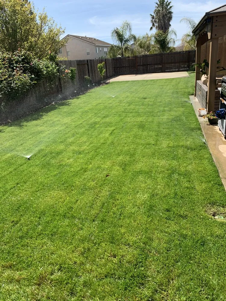 Reliable lawn mowing service in Carmichael, CA by IP Landscape