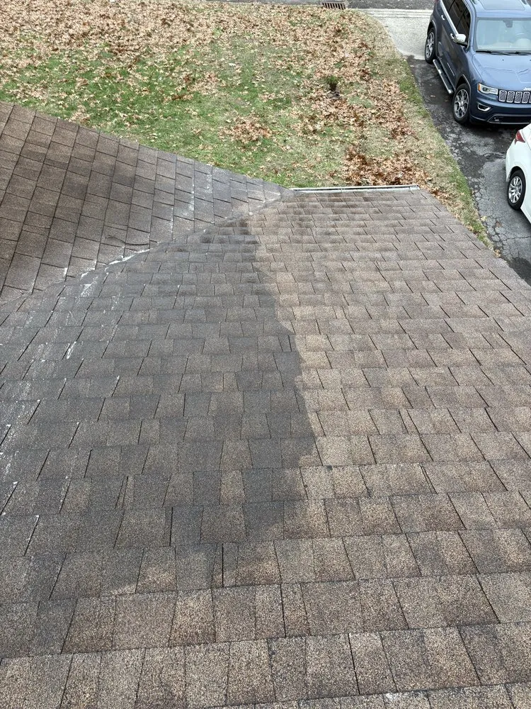 Professional landscaping services experts serving Nashville, TN - IP Landscape