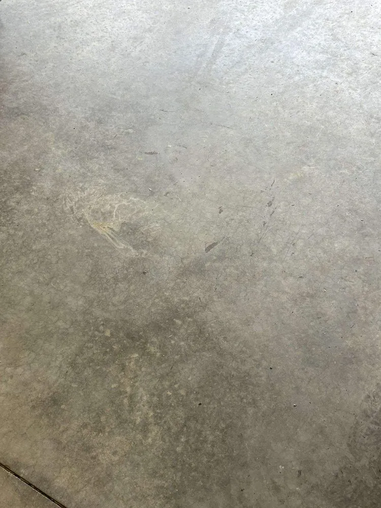 Top-rated yard maintenance experts serving Nashville, TN - IP Landscape