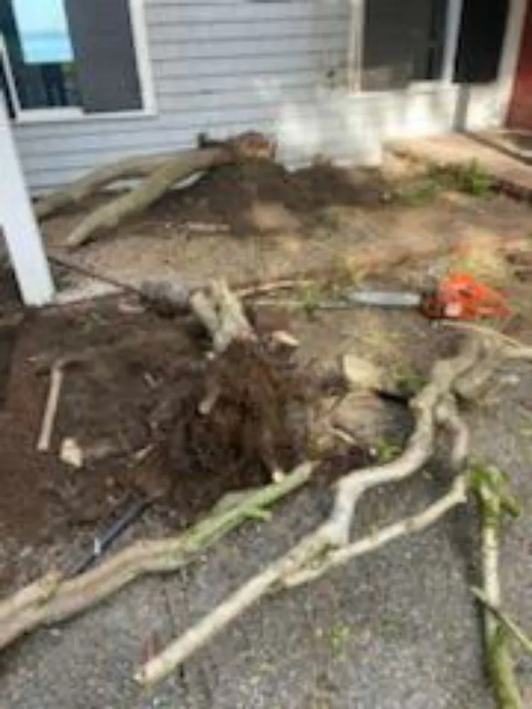 Affordable outdoor landscaping experts serving Bremerton, WA - I.P Landscaping & Tree Services