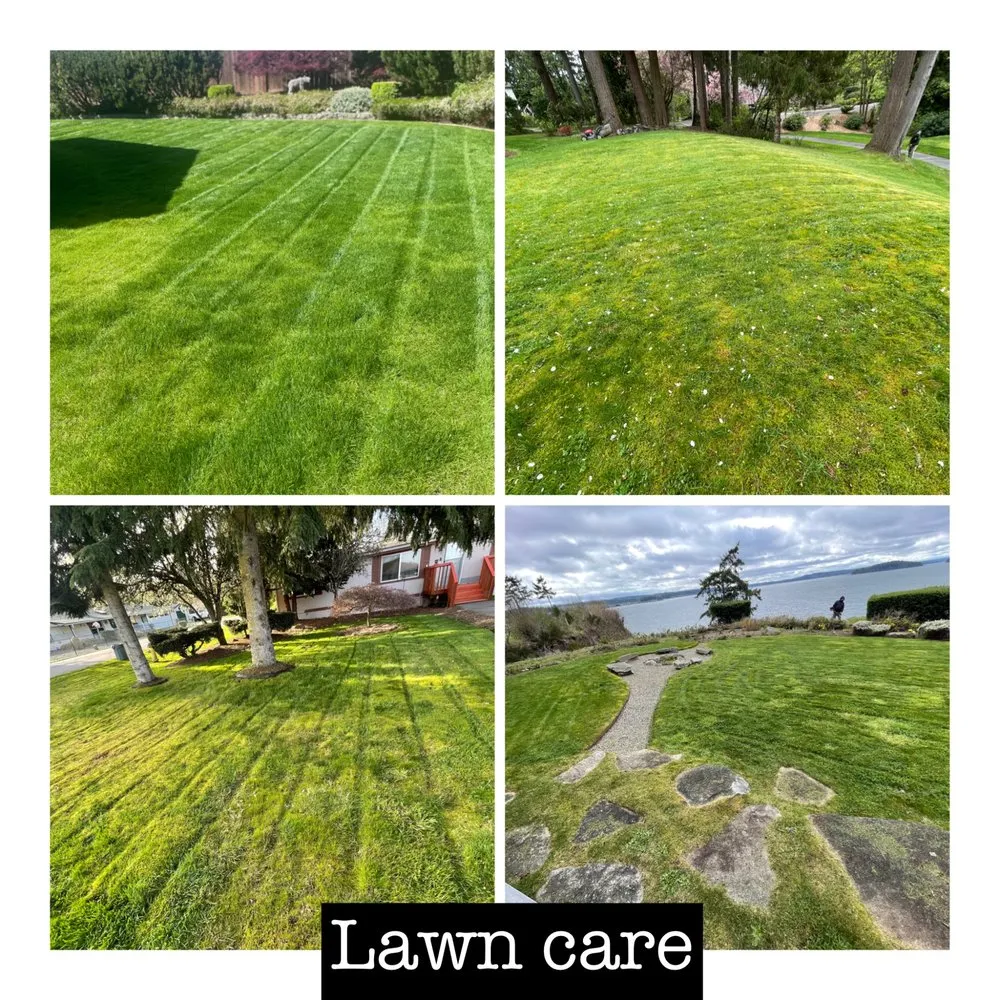 Affordable lawn mowing service in Bremerton, WA - I.P Landscaping & Tree Services