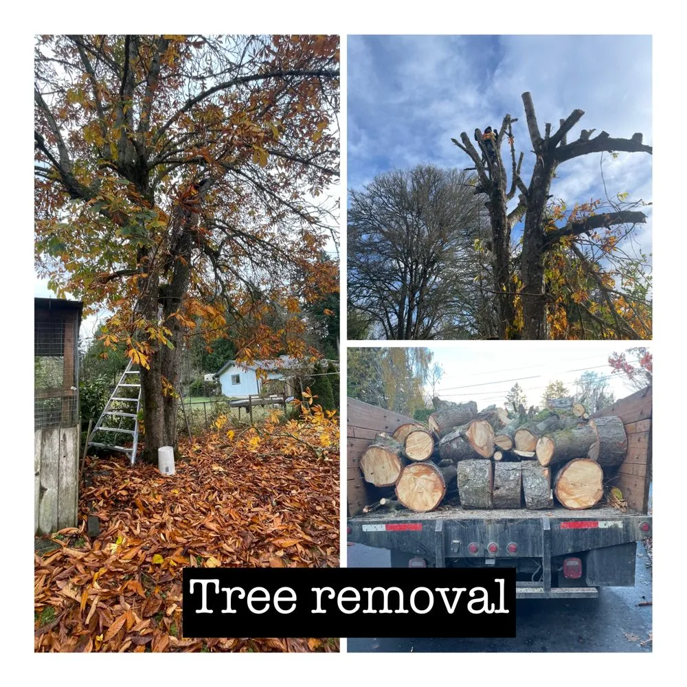 Trusted outdoor landscaping in Bremerton, WA by I.P Landscaping & Tree Services