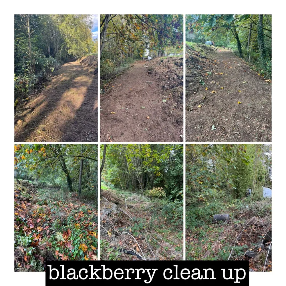 Local landscaping services with custom design in Bremerton, WA by I.P Landscaping & Tree Services