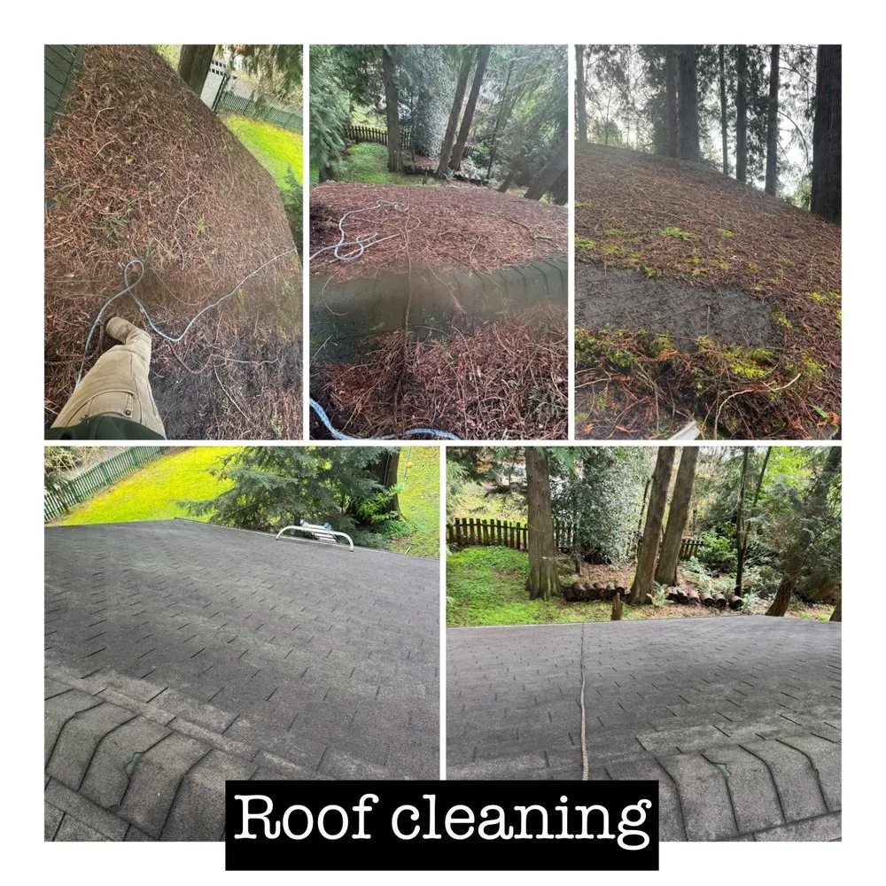 Affordable landscape installation near you across Bremerton, WA - I.P Landscaping & Tree Services