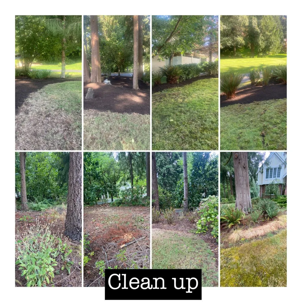 Trusted landscape installation near you across Bremerton, WA - I.P Landscaping & Tree Services