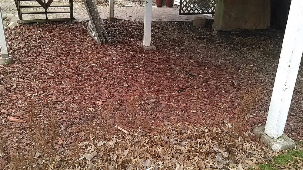 Trusted lawn mowing service experts serving Saint Paul, MN - IP Landscaping