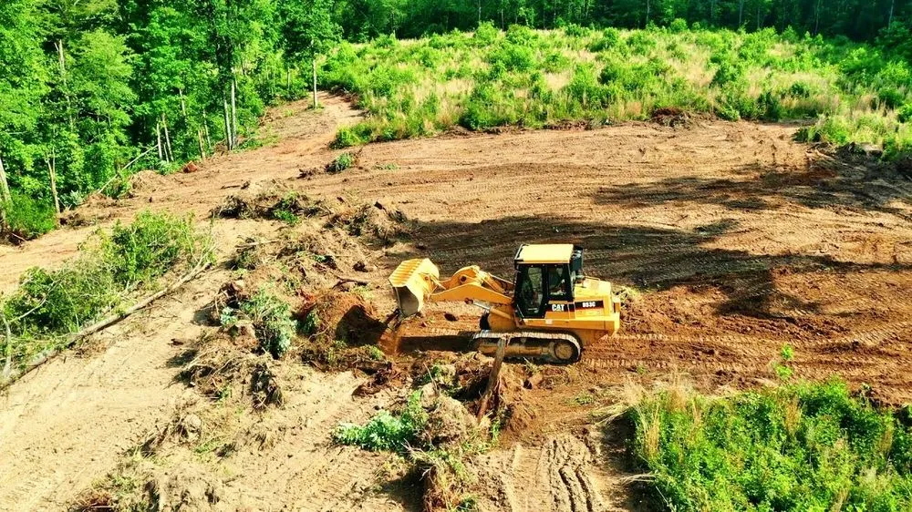 Local landscaping services for outdoor upgrades in Summerville, SC by Ip Moore Land Clearing