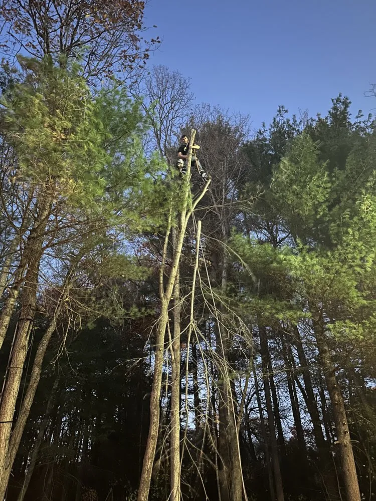 Custom garden landscaping experts serving Billerica, MA - Ippolito Landscape & Construction