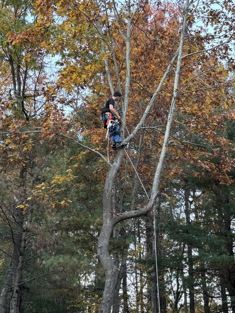 Reliable lawn care service for outdoor upgrades across Billerica, MA - Ippolito Landscape & Construction