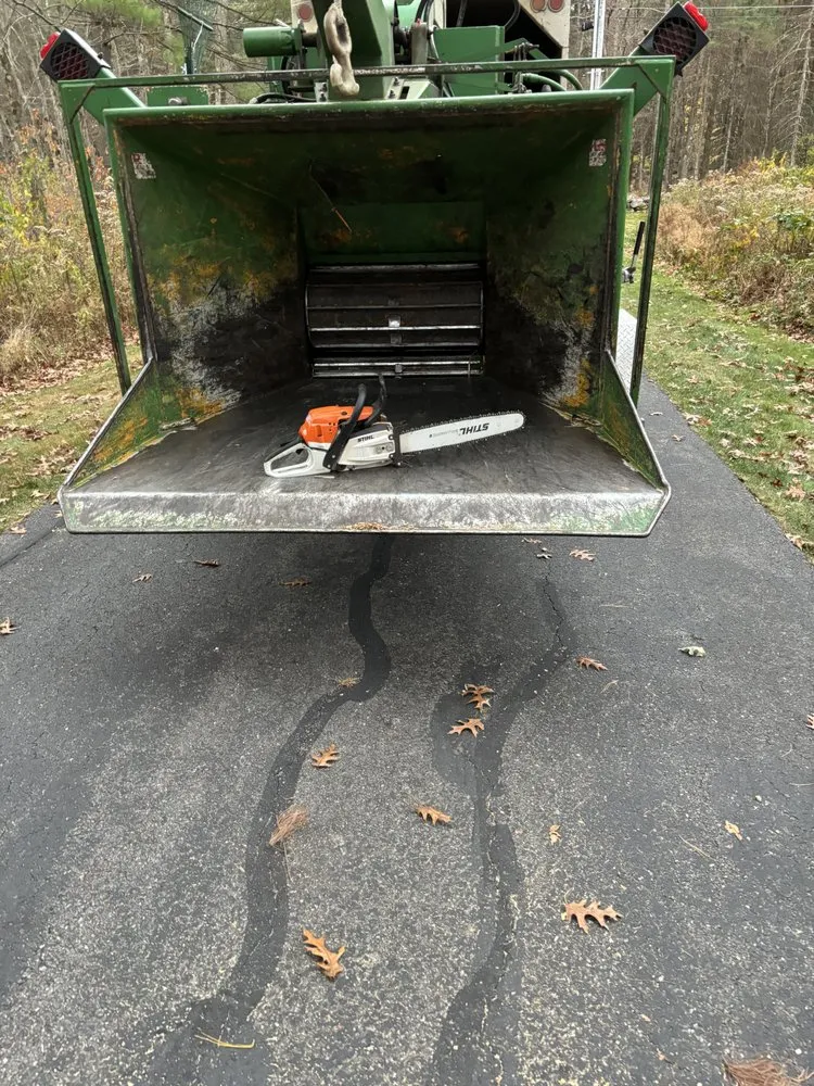 Professional yard cleanup service in Billerica, MA - Ippolito Landscape & Construction