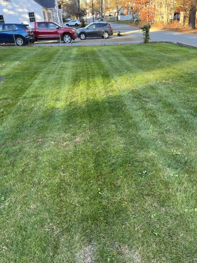 Trusted yard cleanup service experts serving Billerica, MA - Ippolito Landscape & Construction