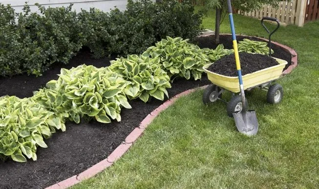 Top-rated outdoor landscaping experts serving Gadsden, AL - IR Property Solutions