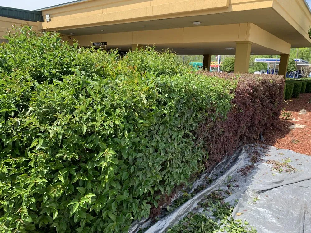 Reliable landscaping services for residential properties in Gadsden, AL by IR Property Solutions