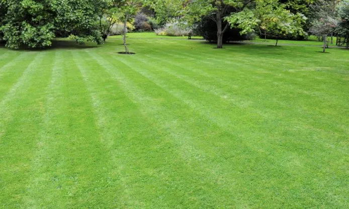 Reliable yard maintenance for outdoor upgrades across Gadsden, AL - IR Property Solutions