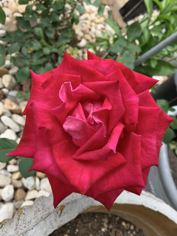 Expert garden landscaping experts serving Gadsden, AL - IR Property Solutions