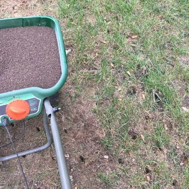 Local lawn care service experts serving Chester, VA - Irby's Lawn Care