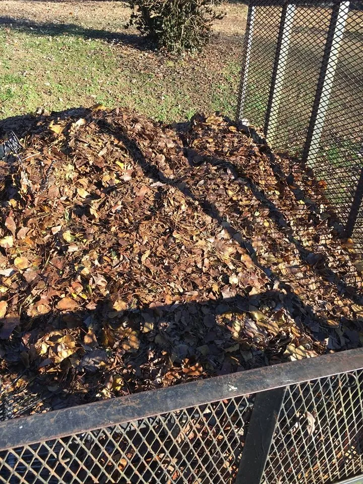 Top-rated landscape design with custom design across Chester, VA - Irby's Lawn Care