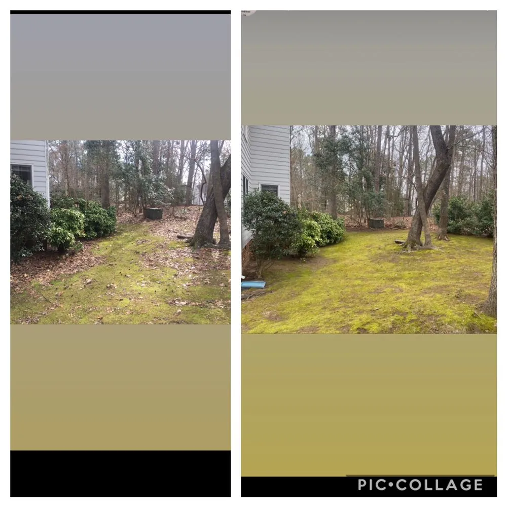 Local landscaping services near you in Chester, VA by Irby's Lawn Care