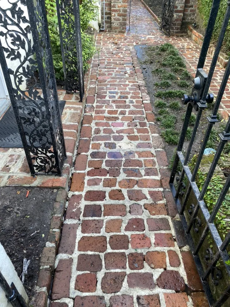 Custom lawn care service near you in North Charleston, SC by Irie Cleaning