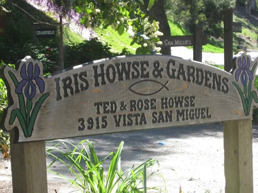 Trusted yard cleanup service for beautiful yards in Bonita, CA by Iris Howse and Gardens