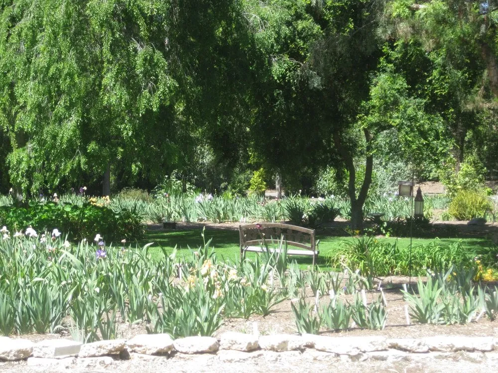 Reliable residential landscaping in Bonita, CA - Iris Howse and Gardens