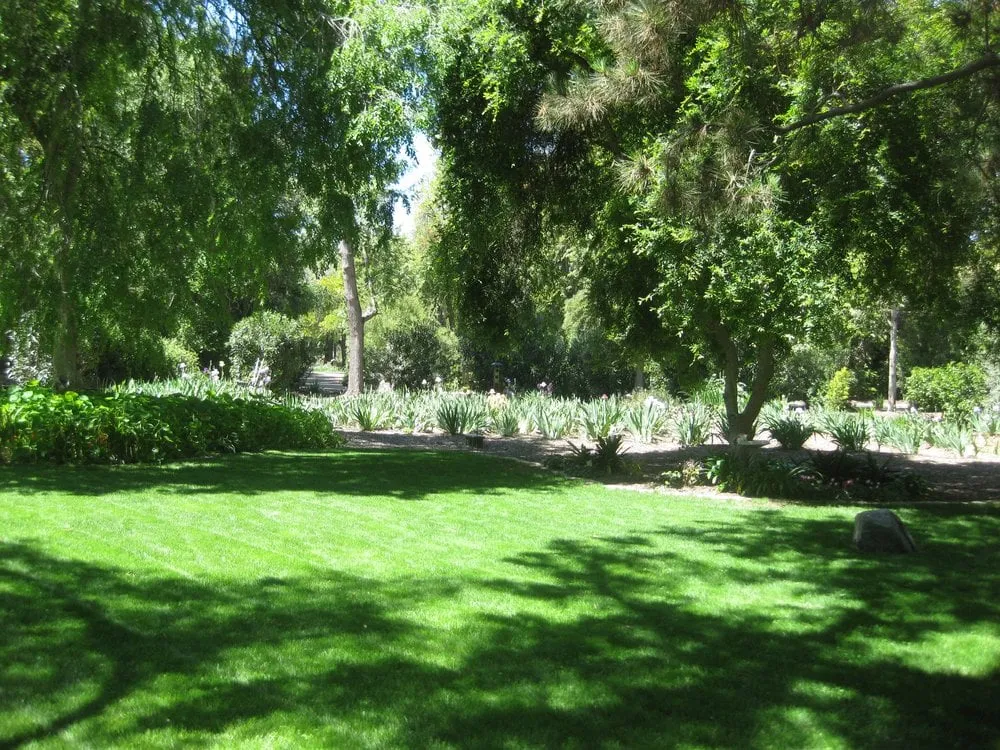 Local landscaping services for outdoor upgrades in Bonita, CA by Iris Howse and Gardens