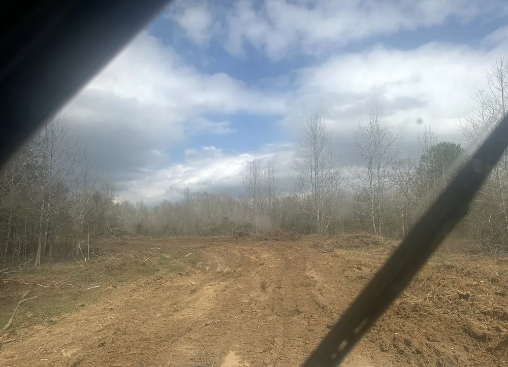 Affordable landscaping services in Hernando, MS by Iris Land Services