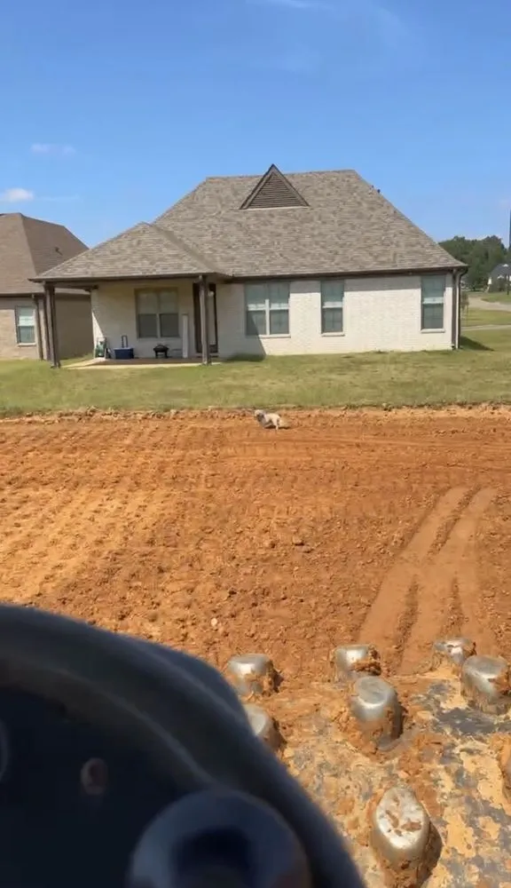 Professional lawn care service in Hernando, MS - Iris Land Services