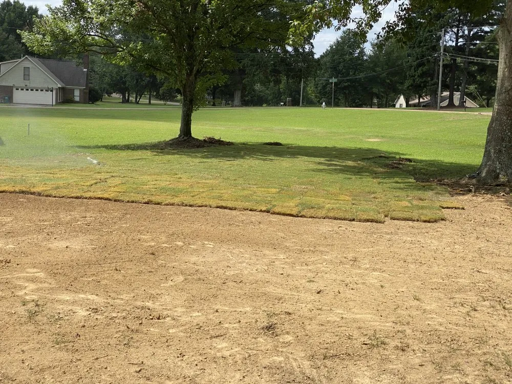 Trusted landscape design in Hernando, MS by Iris Land Services