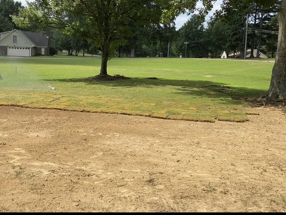 Expert outdoor landscaping experts serving Hernando, MS - Iris Land Services