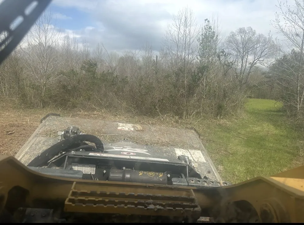 Professional landscaping services experts serving Hernando, MS - Iris Land Services