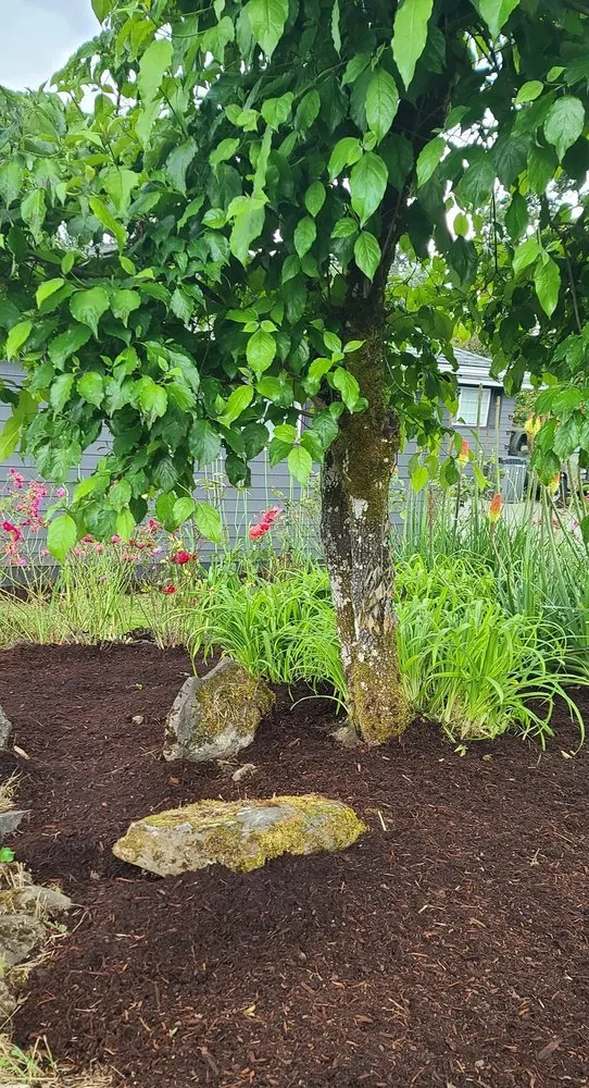 Reliable garden landscaping in Molalla, OR by Iris Landscaping & House Cleaning