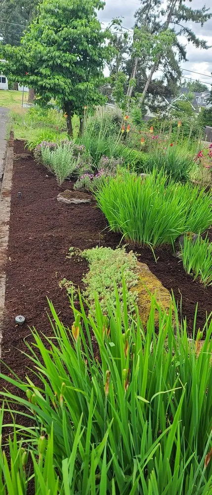 Professional outdoor landscaping for outdoor upgrades in Molalla, OR by Iris Landscaping & House Cleaning