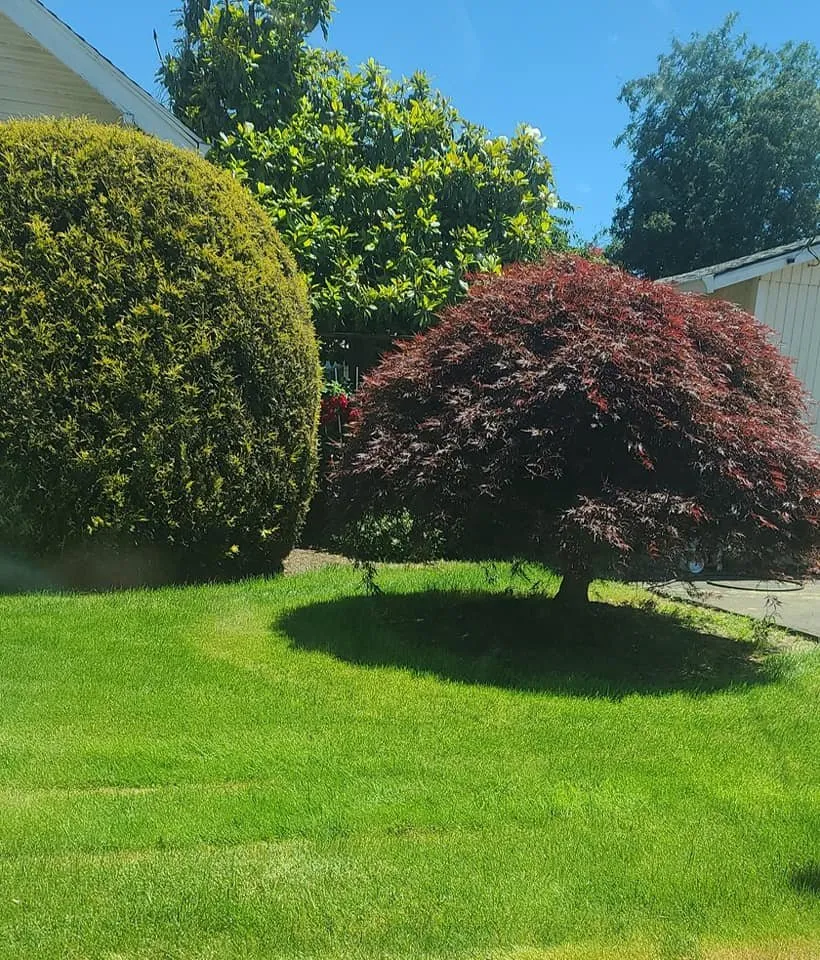 Trusted outdoor landscaping in Molalla, OR by Iris Landscaping & House Cleaning