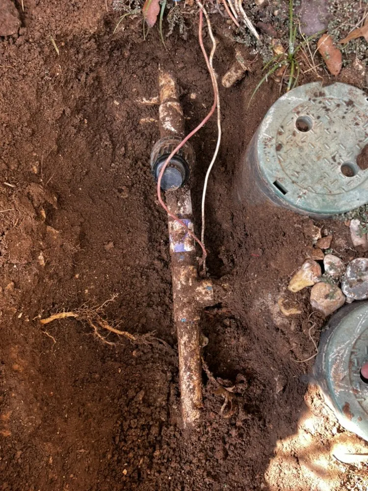 Trusted lawn care service for residential properties in Converse, TX by IRIS Services