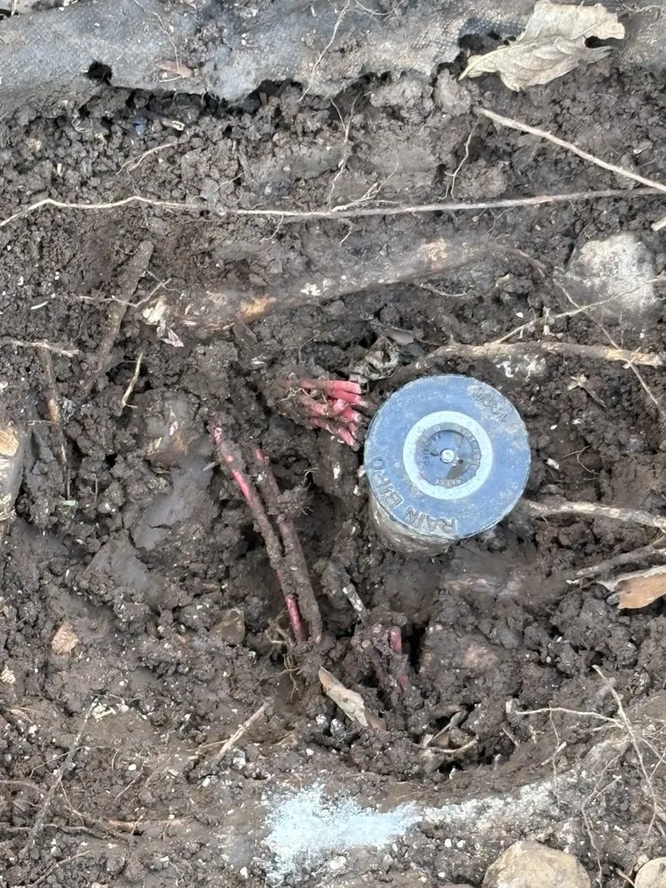 Professional landscape installation in Converse, TX by IRIS Services