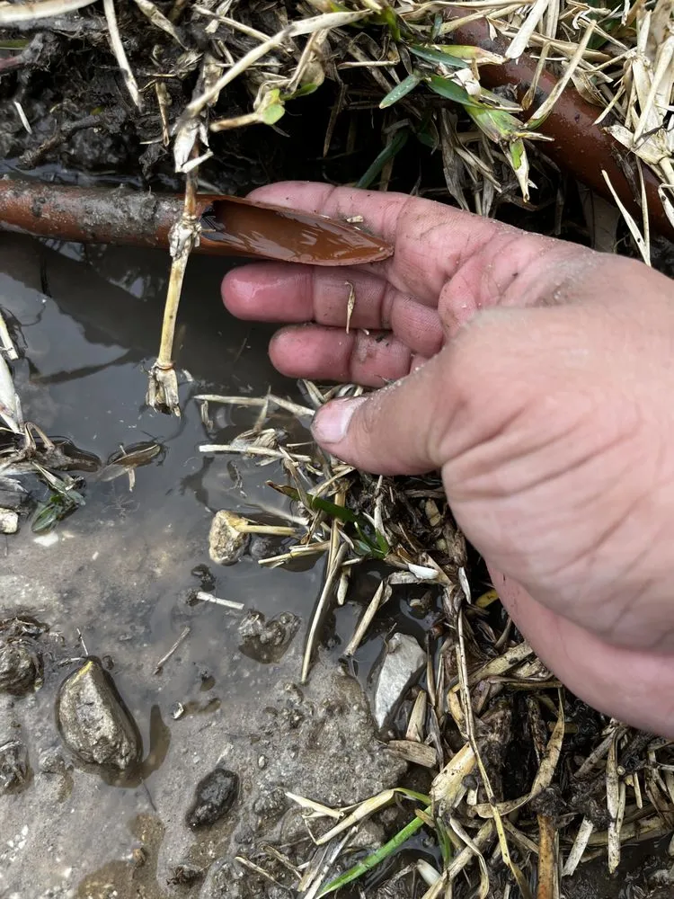 Top-rated outdoor landscaping in Converse, TX - IRIS Services