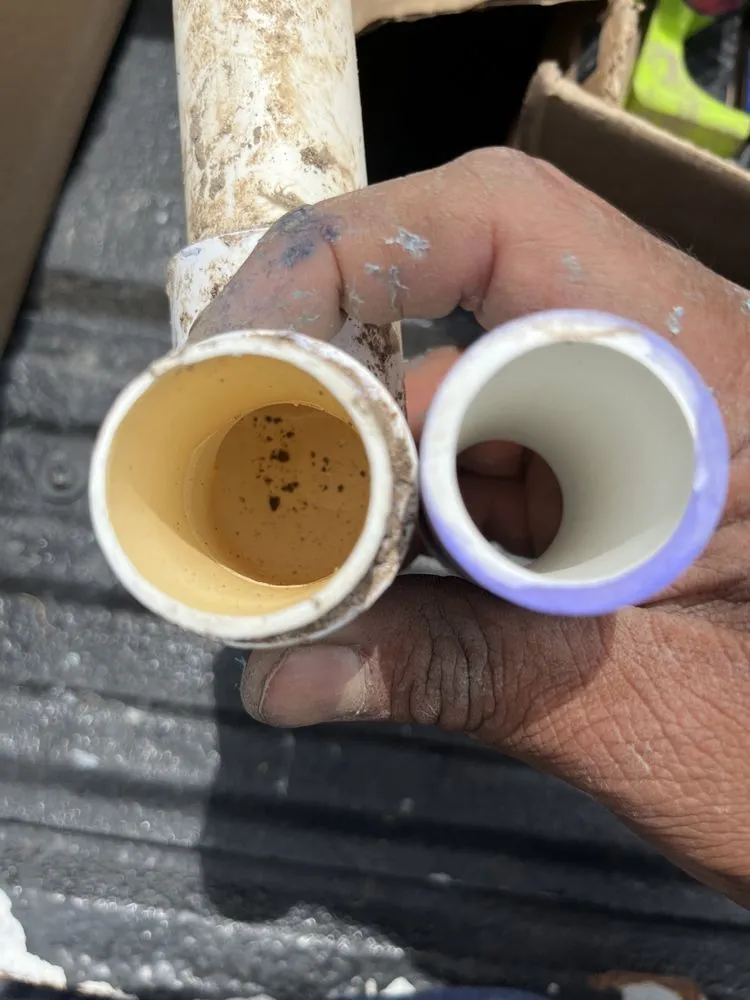 Top-rated landscaping services experts serving Converse, TX - IRIS Services