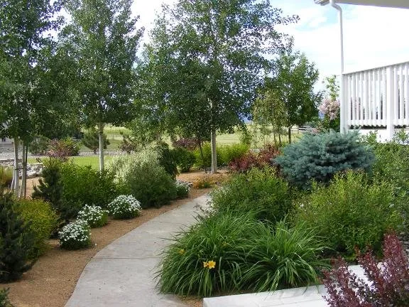 Expert residential landscaping in East Helena, MT by Irish Edge Landscape & Irrigation