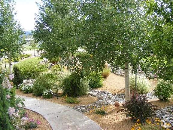 Affordable lawn care service for beautiful yards in East Helena, MT by Irish Edge Landscape & Irrigation