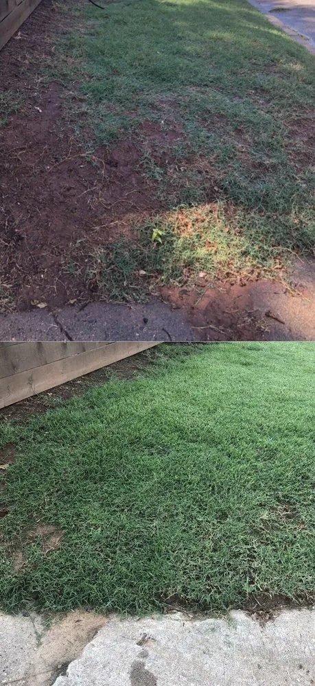 Custom lawn care service experts serving Moore, OK - Irish Green Lawn Care