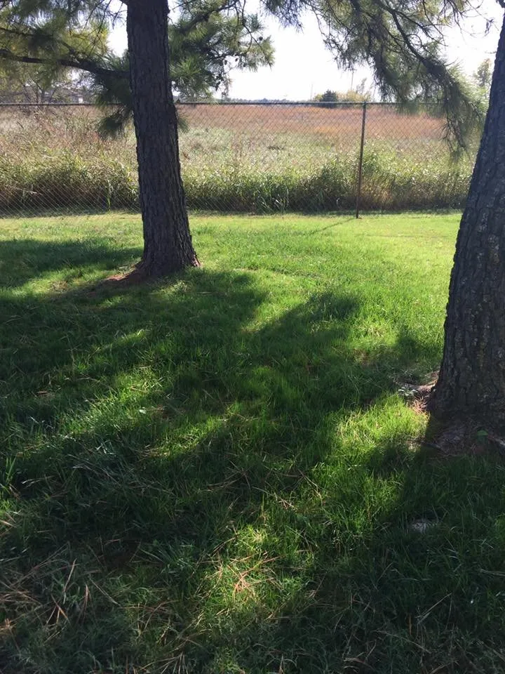 Top-rated outdoor landscaping experts serving Moore, OK - Irish Green Lawn Care