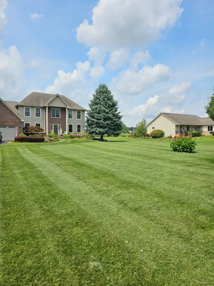 Trusted lawn care service experts serving Northville, MI - Irish Oak Innovations