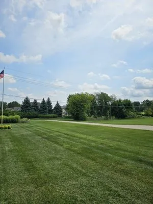 Irish Oak Innovations Logo