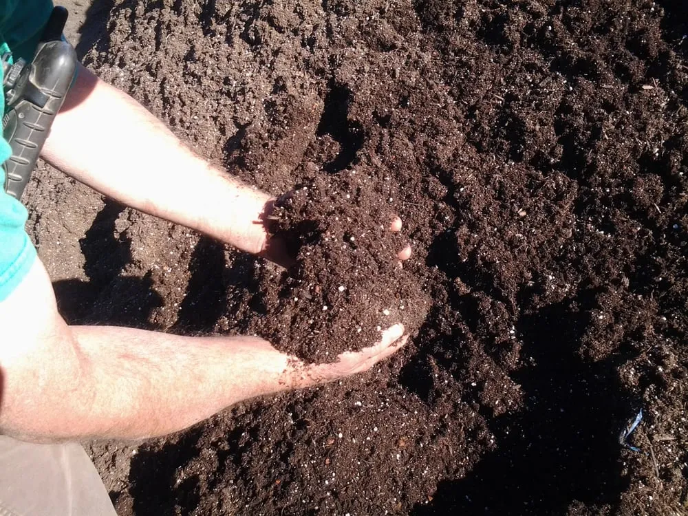 Professional landscape design in Cloverdale, CA - iROC Landscape Supply