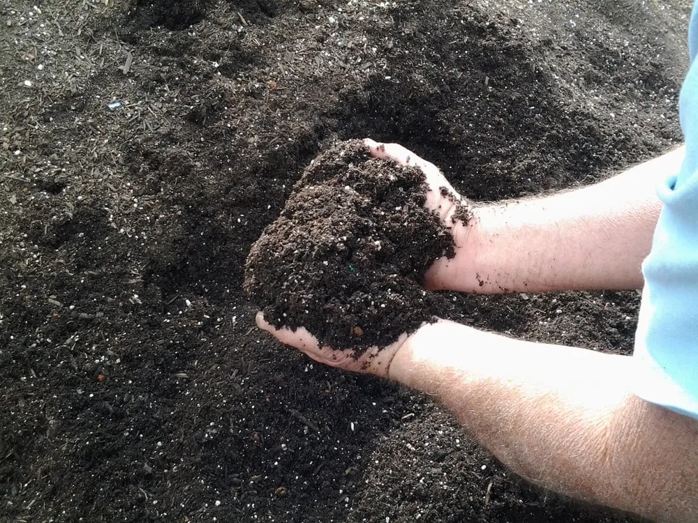 Professional landscape design for year-round maintenance across Cloverdale, CA - iROC Landscape Supply