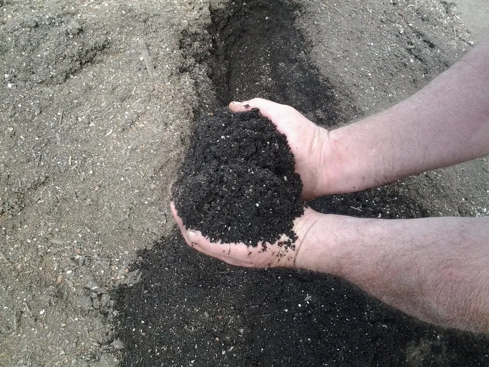 Affordable yard maintenance in Cloverdale, CA by iROC Landscape Supply